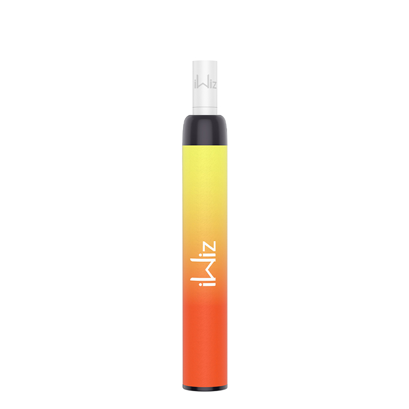 IWIZ Puti Disposable Pod Kit with Filter 550 Puffs 400mAh