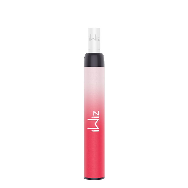 IWIZ Puti Disposable Pod Kit with Filter 550 Puffs 400mAh