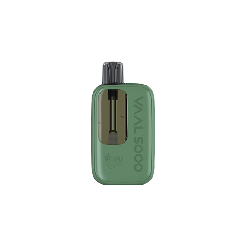 Vaal 5000 Refillable Pod System Kit 570mAh 12ml