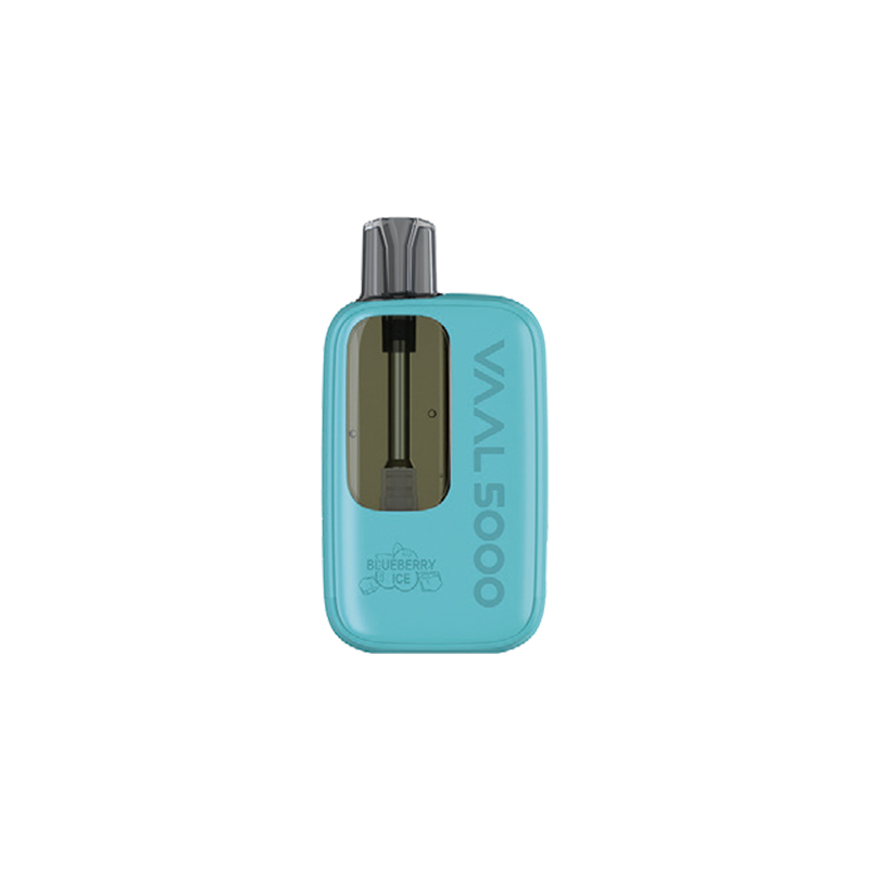 Vaal 5000 Refillable Pod System Kit 570mAh 12ml