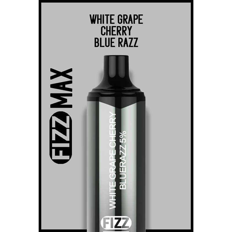 FIZZ Max Disposable Vape Kit 3000 Puffs 10ml