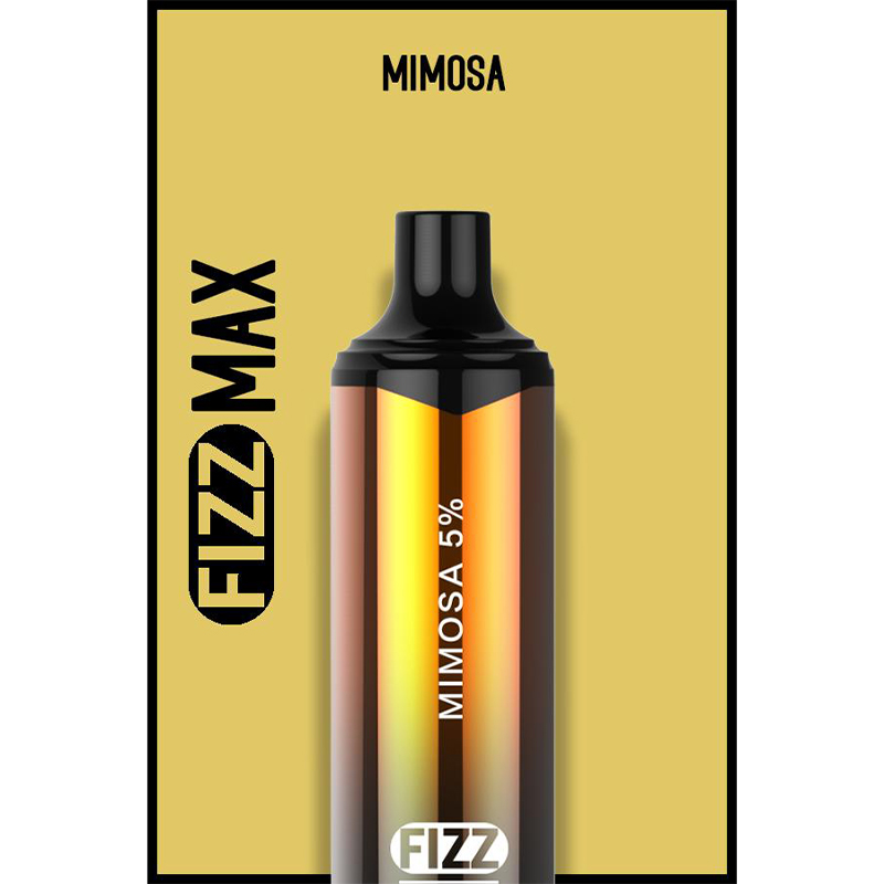 FIZZ Max Disposable Vape Kit 3000 Puffs 10ml