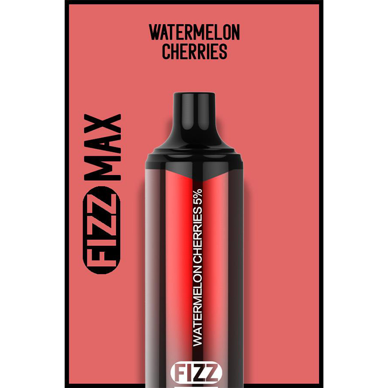 FIZZ Max Disposable Vape Kit 3000 Puffs 10ml