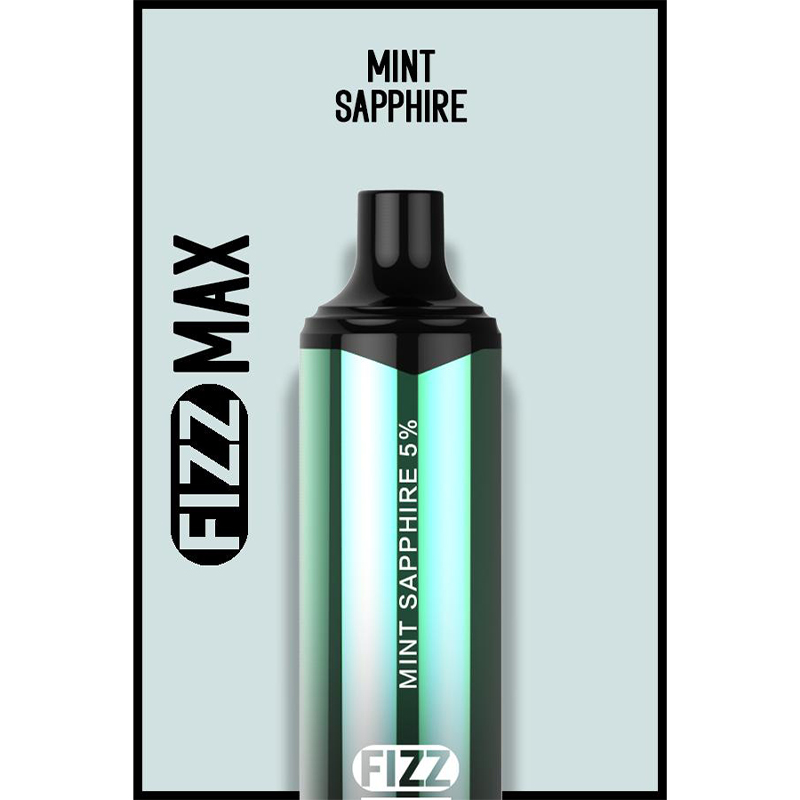 FIZZ Max Disposable Vape Kit 3000 Puffs 10ml