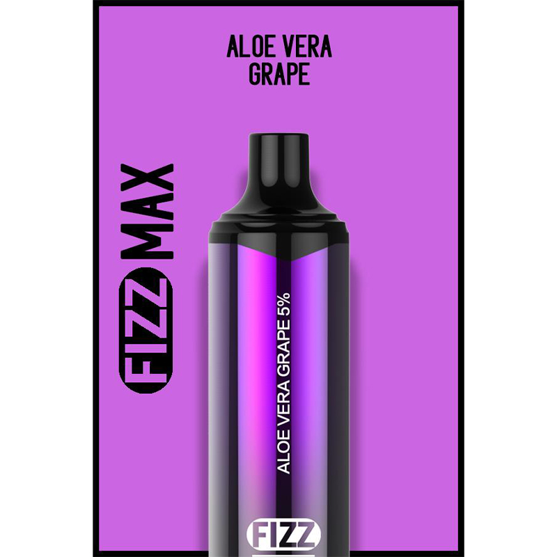 FIZZ Max Disposable Vape Kit 3000 Puffs 10ml