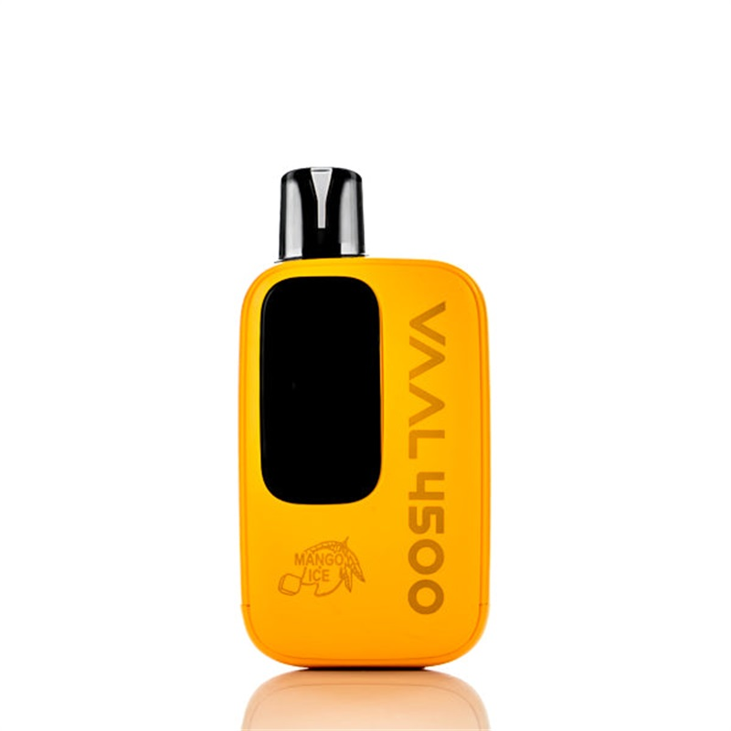 VAAL 4500M Rechargeable Disposable Kit 4500 Puffs 10ml