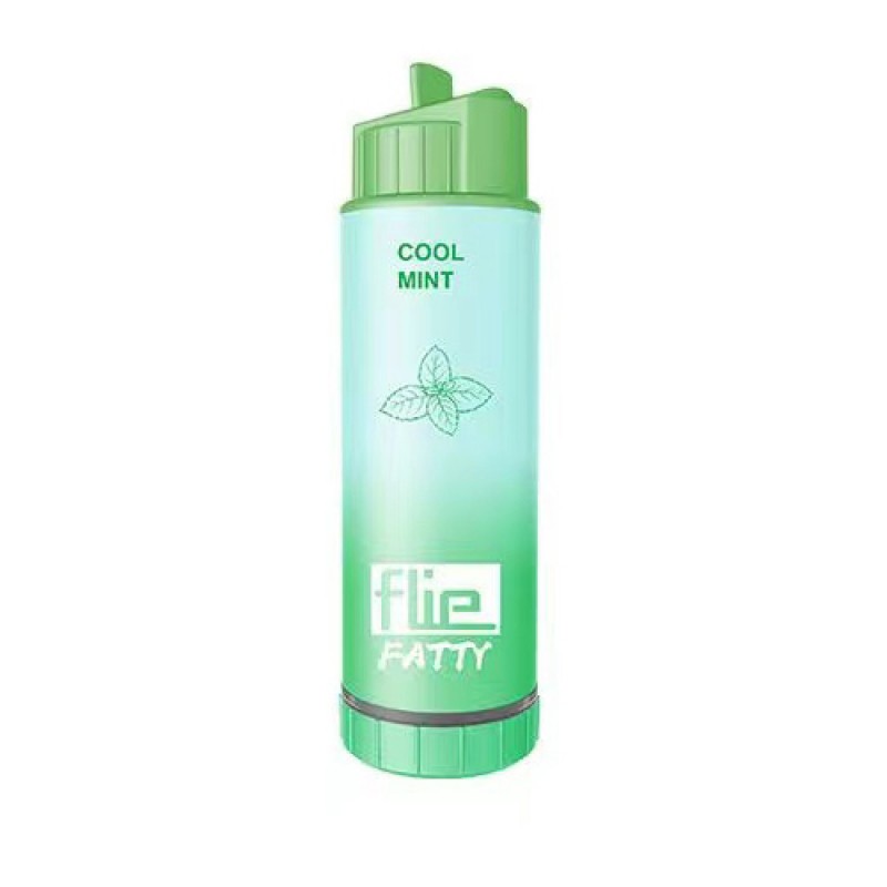 Flie Fatty Rechargeable Disposable Kit 8000 puffs 16ml