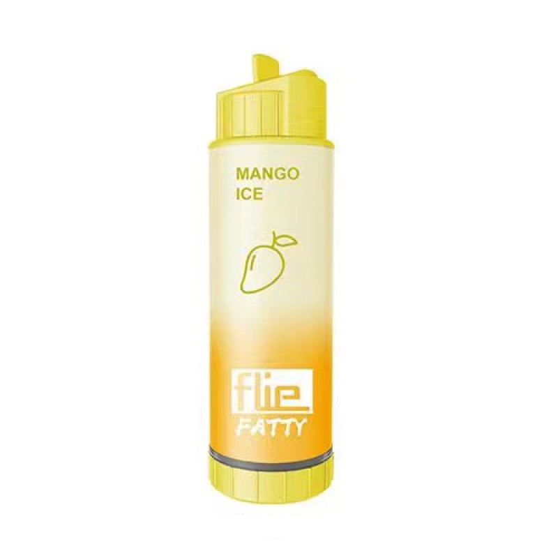 Flie Fatty Rechargeable Disposable Kit 8000 puffs 16ml